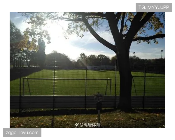 赫塔俱乐部新赛季表现抢眼 整体实力提升受关注