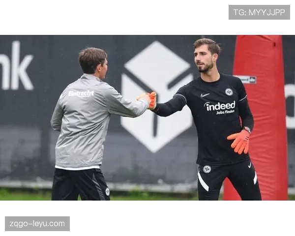 法兰克福战术解析：团队布局精妙，核心打法闪耀赛场