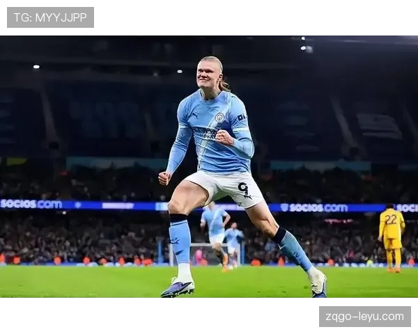 德甲转会风云再起：新秀强势踢馆，老将面临挑战，球队阵容大洗牌引关注